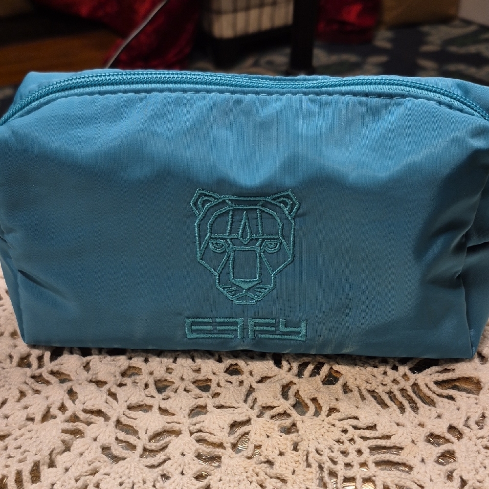 Effy Teal Zippered Satin Jewelry Or Makeup Pouch